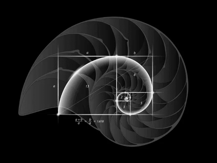 Olivier Messiaen (1908-1992): Quatuor pour la fin du temps – The Fibonacci Sequence – (5 de 5) ֍