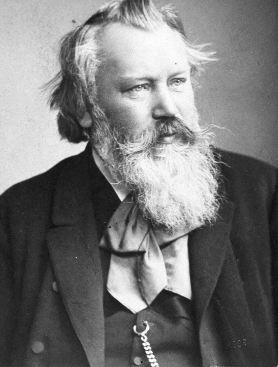 Johannes Brahms (1833-1897): Concerto Duplo e Quinteto para Clarinete (Capuçons)